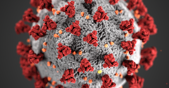 corona virus
